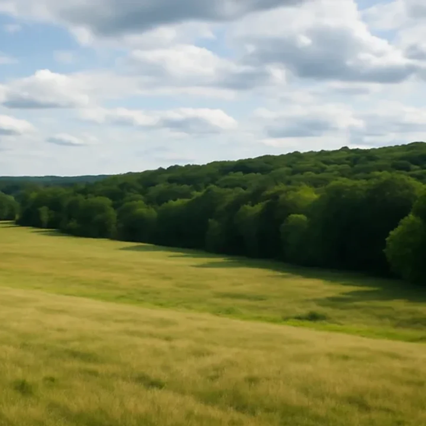 Laconia vacant land, wooded acreage, and rural parcels in New Hampshire
